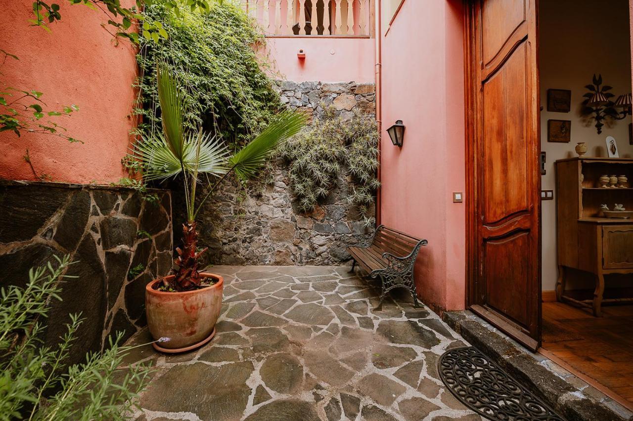 Homeforguest Rural House With Garden El Laurel Tacoronte Eksteriør billede