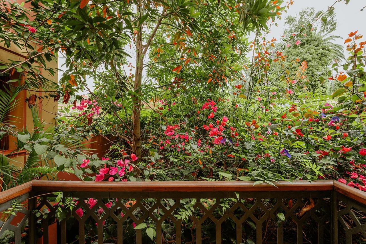 Homeforguest Rural House With Garden El Laurel Tacoronte Eksteriør billede